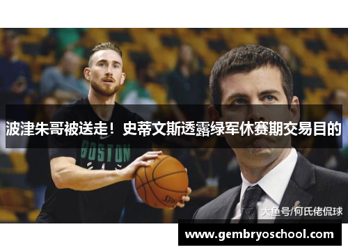 波津朱哥被送走！史蒂文斯透露绿军休赛期交易目的