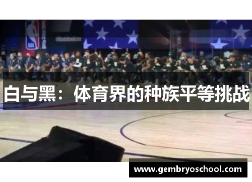 白与黑：体育界的种族平等挑战