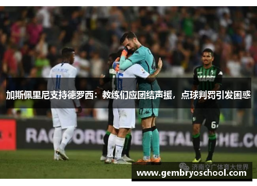 加斯佩里尼支持德罗西：教练们应团结声援，点球判罚引发困惑